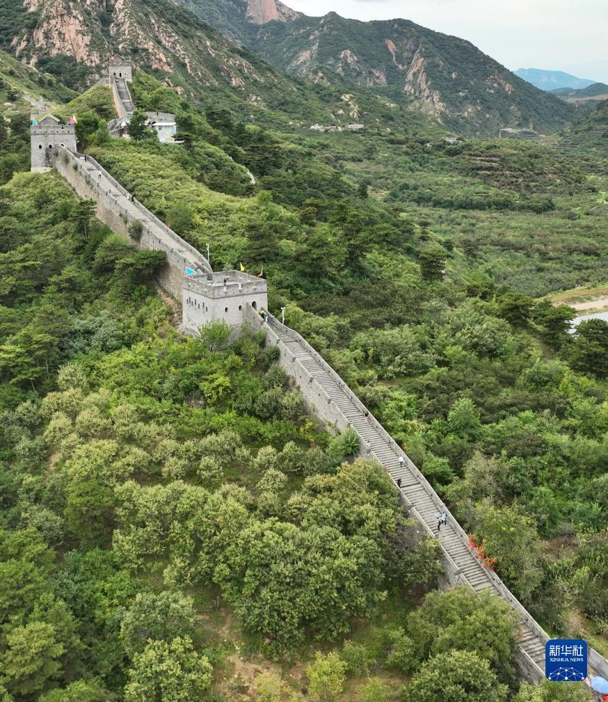 金沙娱手机乐登录口